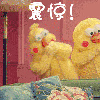 ͶƱح�ල����ˮ�͡�����10����Ϊ������Ͷ��һƱ