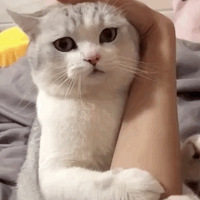 �¹���ɶ������������������������������������������