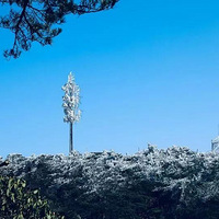 ���ޣ�̨��ѩ����һĻ��ֱ̫���ˣ�ˢ����