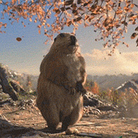 ɶ�����棿2019��һ��ˢ����Ƭ�����ѣ����������Ц�ˣ�����