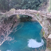 һö����Գ�Ҷ���