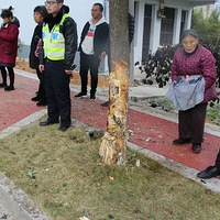 ����ײ���ˣ�����"ɨ��ɮ"����С�鲽����