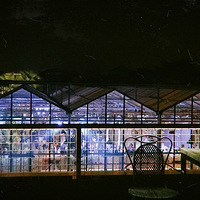  ͷǿ ŲȲݵ  ֮ҹ