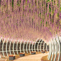 ��������㹫԰����