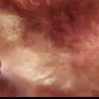 ��10�ڣ������˵���Ʊ����Ϯ��һ�������Ӯ������