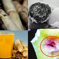 ·�����úܻ��ˮ�������˳������ICU��������Ҳ����