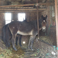 ���ӱ����������⻧�˼�Ҫ�����ˣ�û�뵽��������......