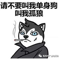 ���˽ڣ�����֤