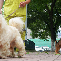 ��������40���9�꺢�Ӳ�����������������������֪����
