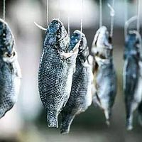 ����������һ���ڷ��޲��ͬ�ְ������¡���ͥ����������С�ı���