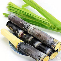 ��Ƥ��������