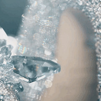 2019ǿָϣ500ľϼ