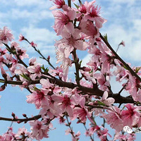 һ���ļ�������ţ����������ͷ��ٺ�......