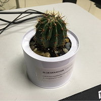 ���ֵ����ԣ�ϣ������������