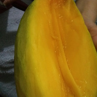 ̨��â��������