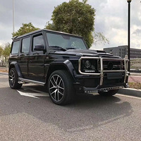 �ƽ����ֳ�/���ڳ�/����/17�걼��G63-463