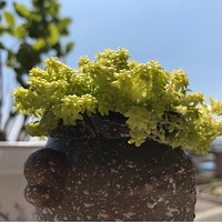 �����Ѵ�