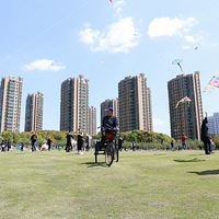 ���ǣ��������绨���������