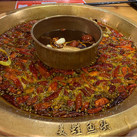 Ի̨No.31Ϲ