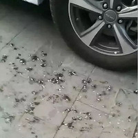 ̫��!Ů��װ����ͷ��,����4�춼�ĵ����������޿��̵�һĻ��