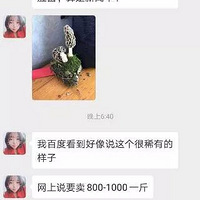 1000Ԫһ��㽭Ů����ɽ���ڵ����ˣ����ǻ�ģ��ǳ�������