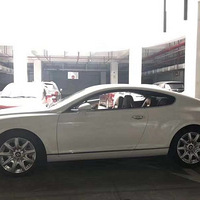 �ƽ����ֳ�/���ڳ�/����/08�����ŷ½GT