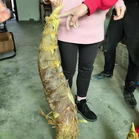 ɱ��Щ��̨�ݾ�Ȼ�����ڵ����־��ް�����