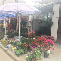 �����ﻨ���г��������ν����У�