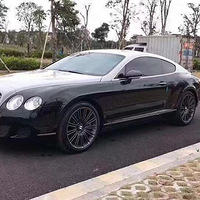 �ƽ����ֳ�/���ڳ�/����/���þ�Ʒ/��2012�����GT~6.0T