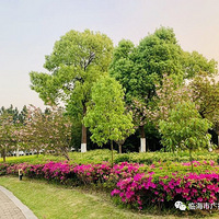 �ٺ�����Ʈ�����硰����ѩ������������Щ���У�
