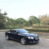 �ƽ����ֳ�/���ڳ�/����/���þ�Ʒ/16�����GT W12 6.0T