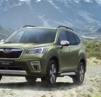 �۲ٿ�����ɱͬ�� �ݿ���˹��³ɭ����