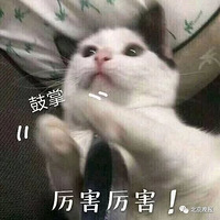 Ů�Ӵ��ţ�����վ�Ÿ�İ�����ˣ�����Ĳ���������