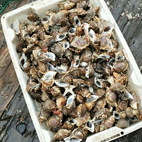 �������ú���