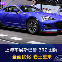 ȫ���Ż� �Ϻ���չ�¿�˹��³BRZͼ��