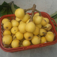 �������ժ��ɳ���� ȥ̫������ �Ǻ����ɽ��