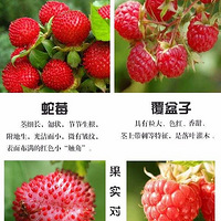 ̨�ݾ���95Ԫһ��ġ���ۡ���÷���Ի��Ƕ����۸������ˣ�