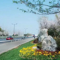 ̨�ݳ���ע�������Ժ�ͣ��Ҫ����ͷͣ