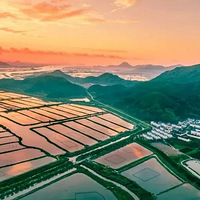 ���������������ö�����������̨�ݳԺ��ʵ�ʱ�䲻���ˣ�