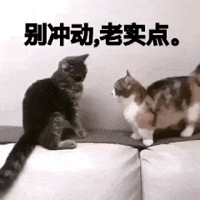 �����գ���վ������;�³���ܣ����������˿;���������˾��