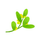 ɽ���������ⱦ���ܿ�����ȴ��͵�ˣ�����ҽ��������Ȧ��Ѱ��