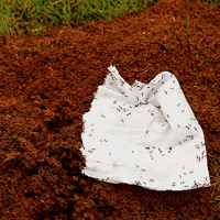 ̨����ע���ˣ�·����������С�����ѣ��Ͻ���Զ�㣡