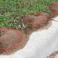 ���裡·����������С�����ѣ��Ͻ���Զ�㣡���ж�������ж�����