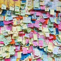 ������ۼ���������������԰����һ����Ϯ��