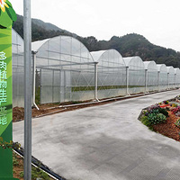 ̨��������ֲ��԰������л���