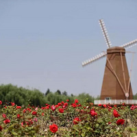 ���������ʪ�ع�԰�¼�������һ���ȴ��ѾõĻ���