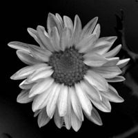 ʹ�ģ���һ��1�죬ج�Ĵ���...