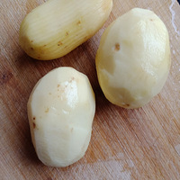 Ի̨NO:32ը