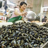 ��ط���Ԥ�������ֺ��ʽ����ٳԣ��������ж������ؿ�������