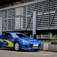 ����BRZ�������ͣ�ȴ���˰�